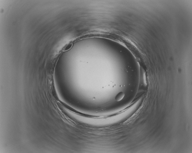 X0000061141355200511210925