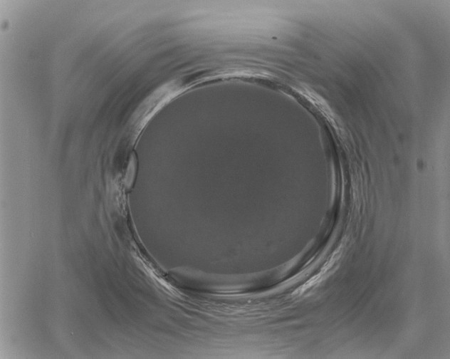 X0000061141369200511210924