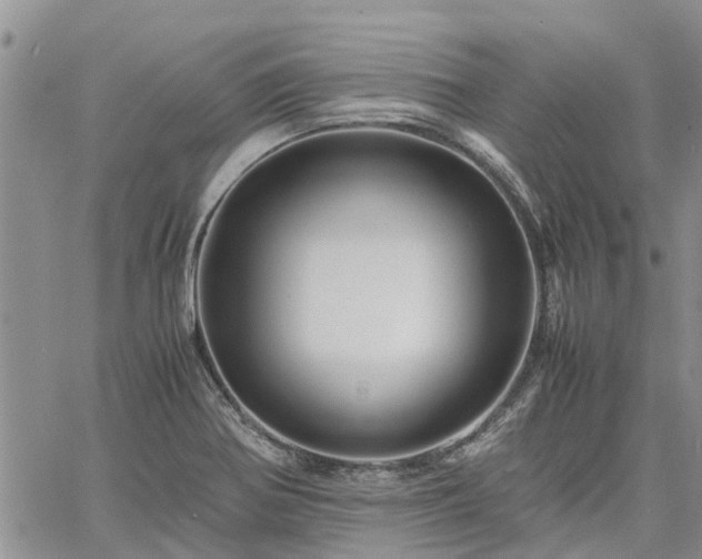 X0000061141370200511210924