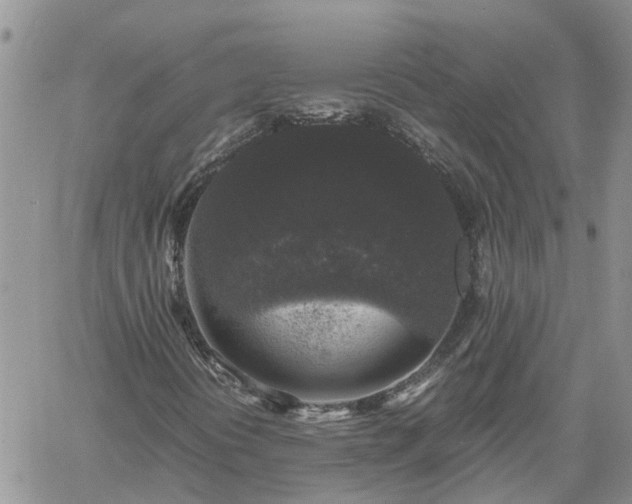 X0000061141394200511210923