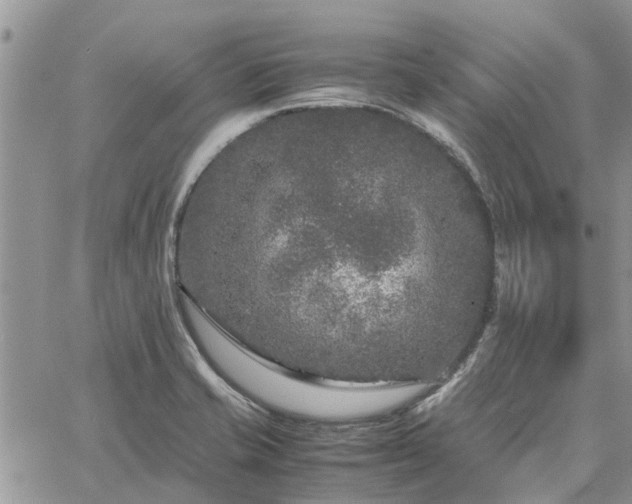 X0000061141421200511210924