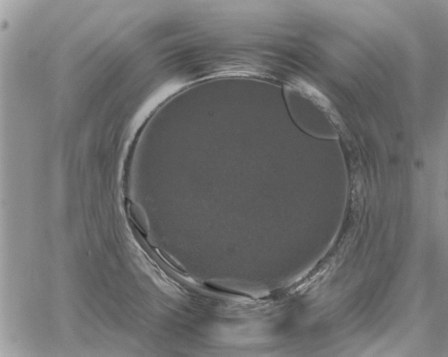 X0000061141427200511210924