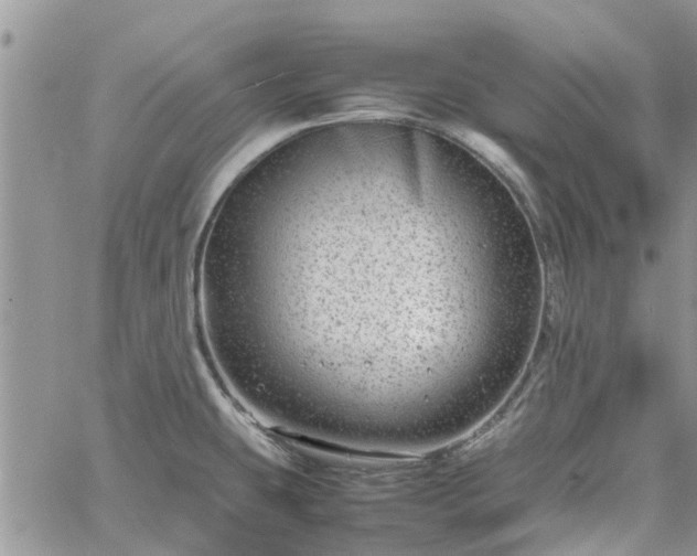 X0000061141431200511210924