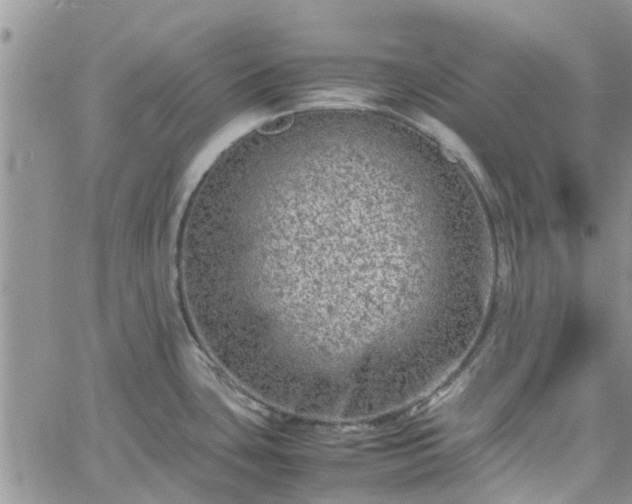 X0000061141435200511210924