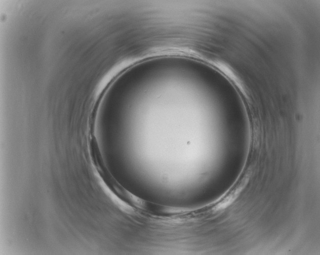 X0000061141438200511210924