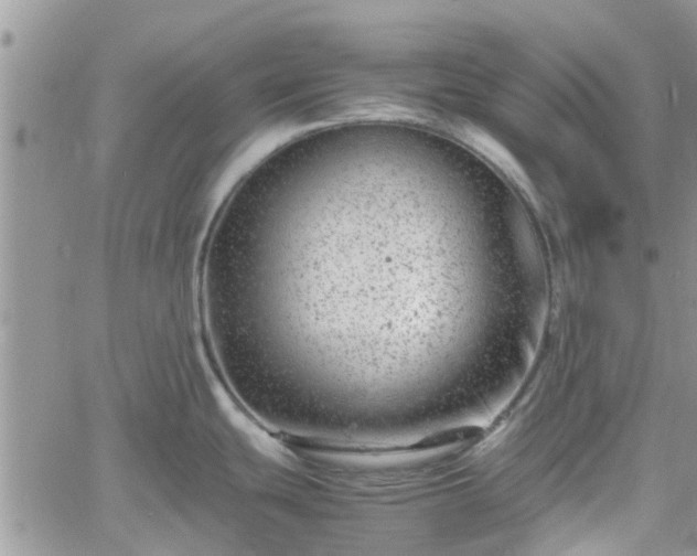 X0000061141439200511210924