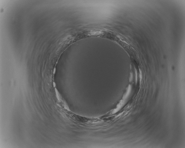 X0000061141441200511210923