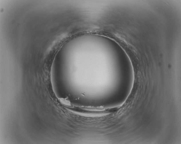 X0000061141447200511210923