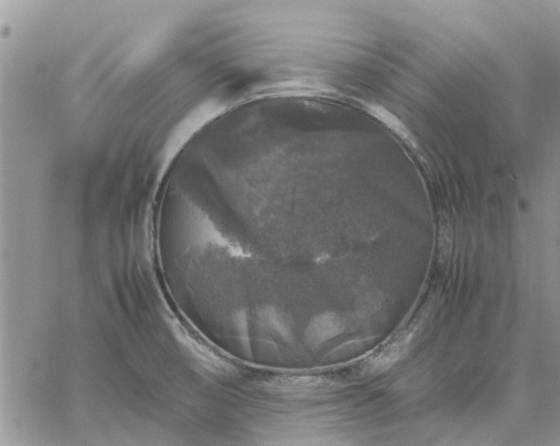 X0000061141474200511210923