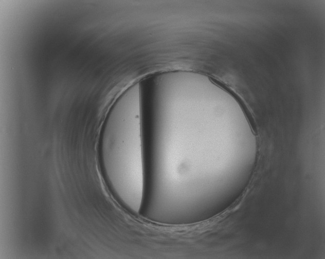 X0000061140001200511241816