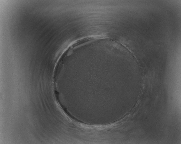 X0000061140002200511241816