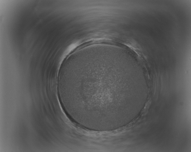 X0000061140003200511241816