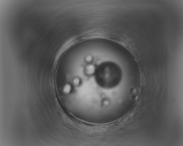 X0000061140004200511241816