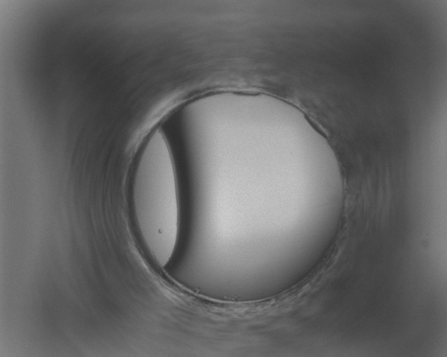 X0000061140005200511241816