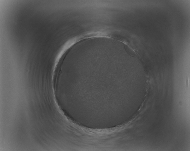 X0000061140006200511241816