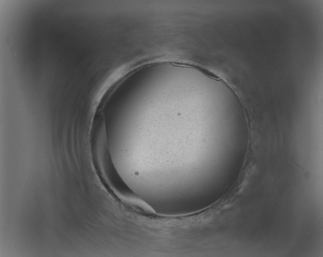 X0000061140007200511241816