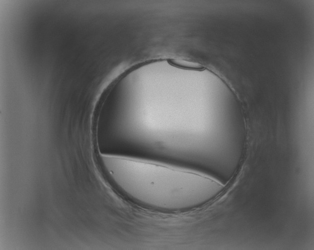 X0000061140008200511241816