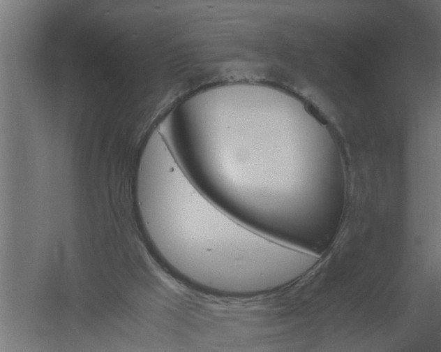 X0000061140009200511241816