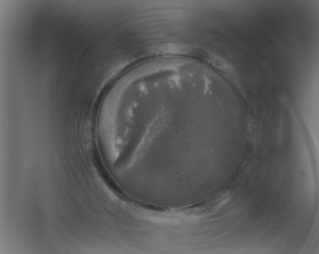 X0000061140012200511241816