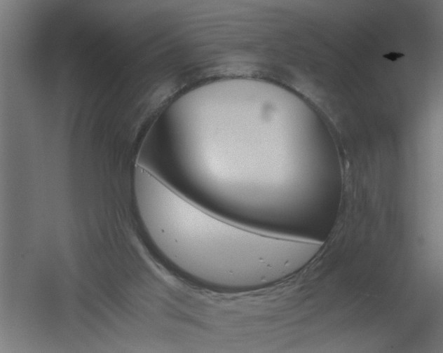 X0000061140013200511241816