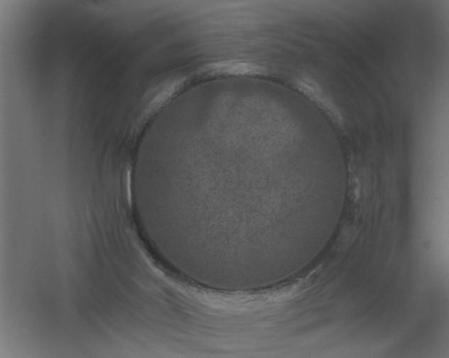 X0000061140014200511241816