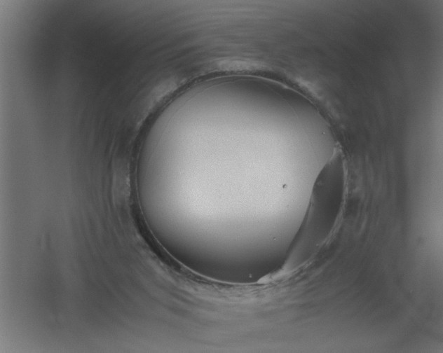 X0000061140015200511241816