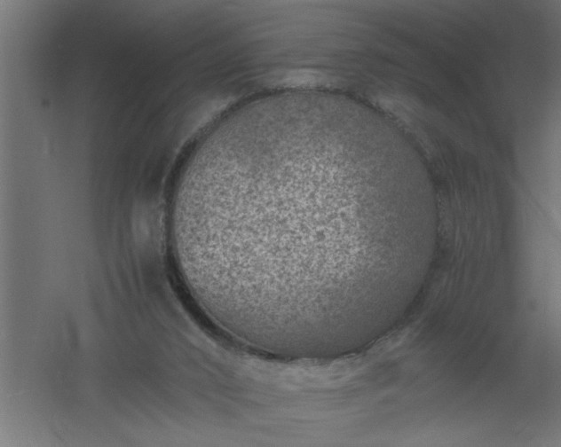 X0000061140016200511241816