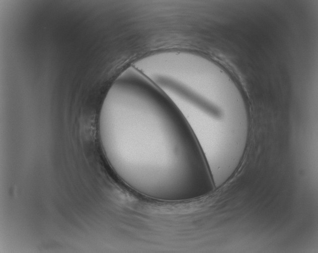 X0000061140017200511241816