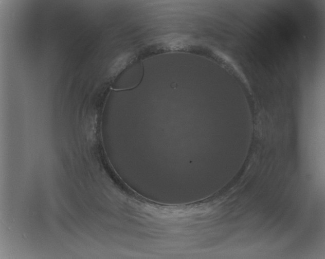 X0000061140018200511241816