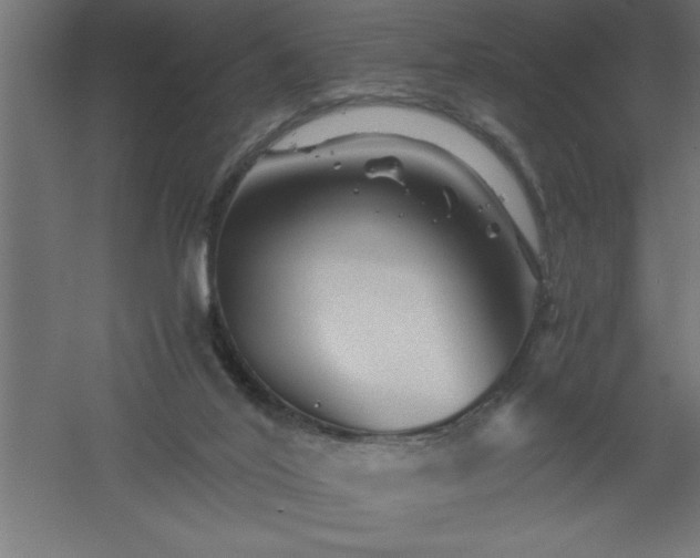 X0000061140020200511241816