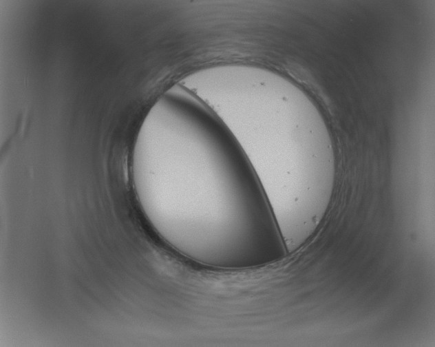 X0000061140021200511241816