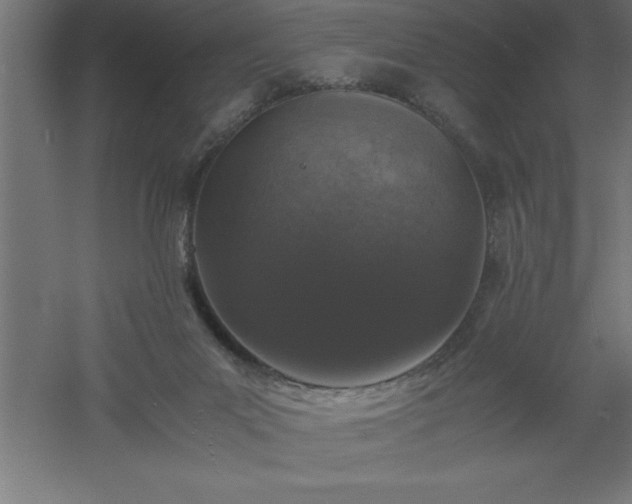 X0000061140023200511241816