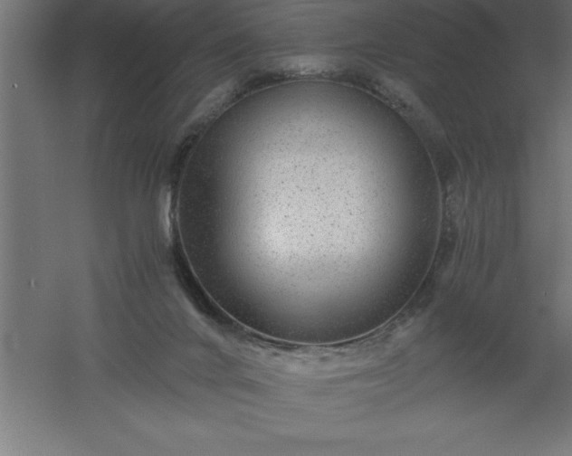 X0000061140024200511241816