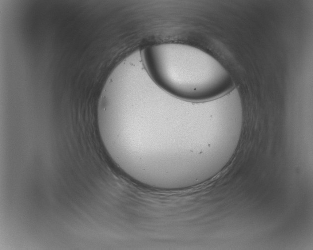 X0000061140025200511241816