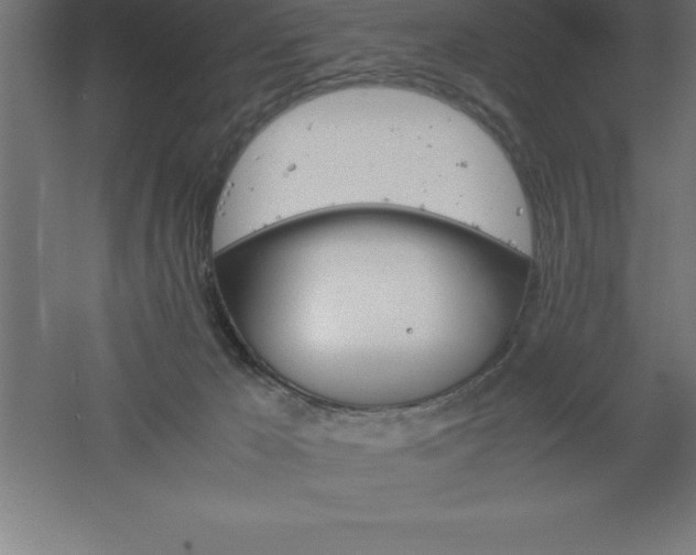 X0000061140029200511241816