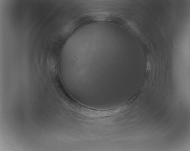 X0000061140031200511241816