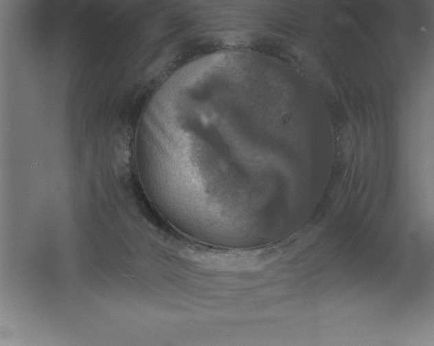 X0000061140032200511241816