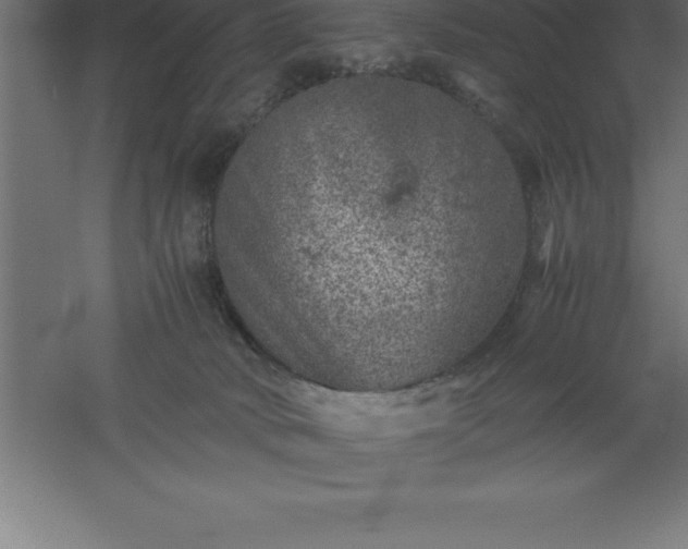 X0000061140034200511241816