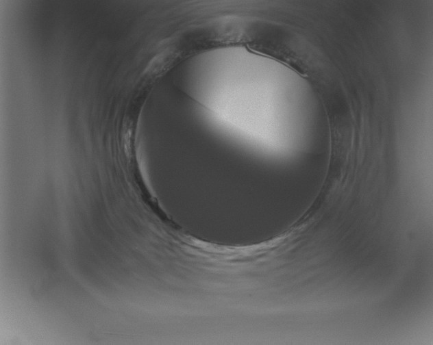 X0000061140035200511241816