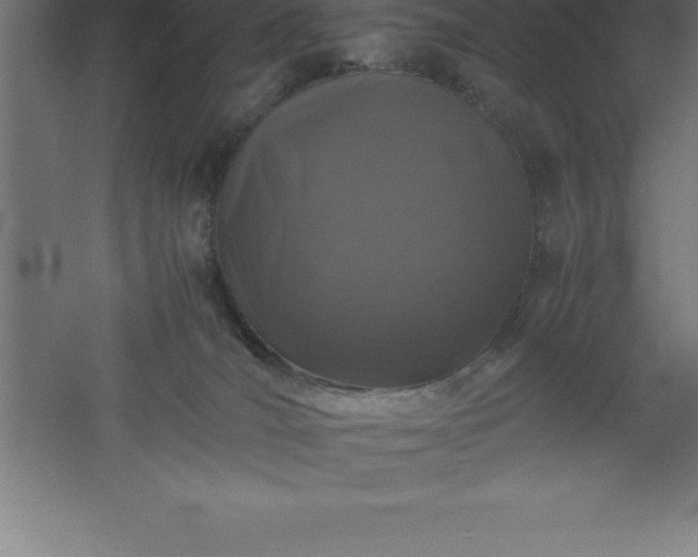 X0000061140036200511241816