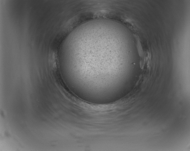 X0000061140038200511241816