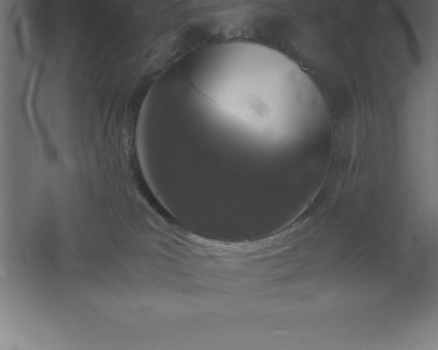 X0000061140039200511241816