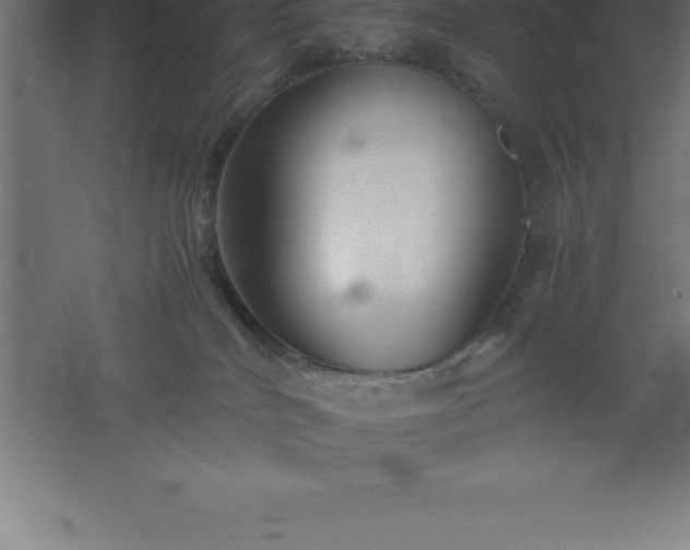 X0000061140040200511241816