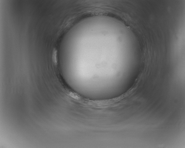 X0000061140041200511241816