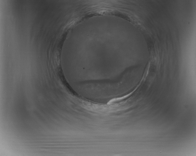 X0000061140043200511241816