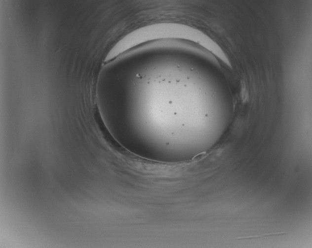 X0000061140044200511241816