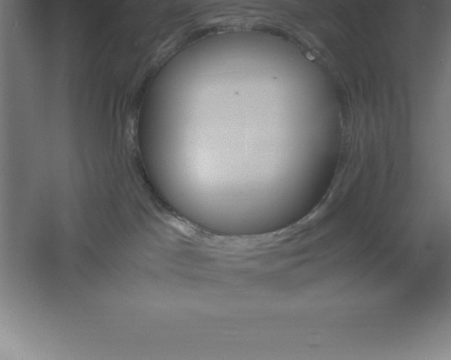 X0000061140045200511241816