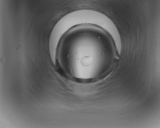 X0000061140047200511241816