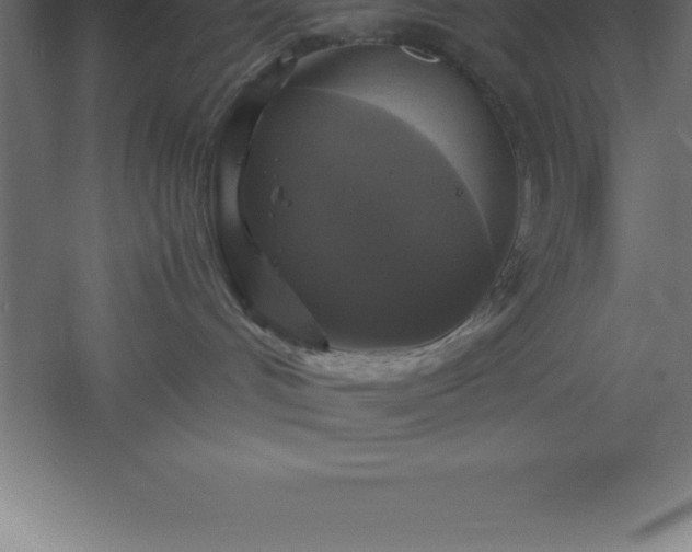 X0000061140048200511241816