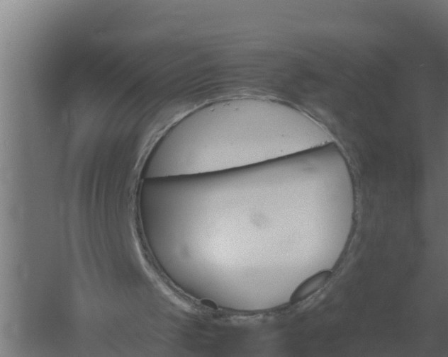 X0000061140049200511241815